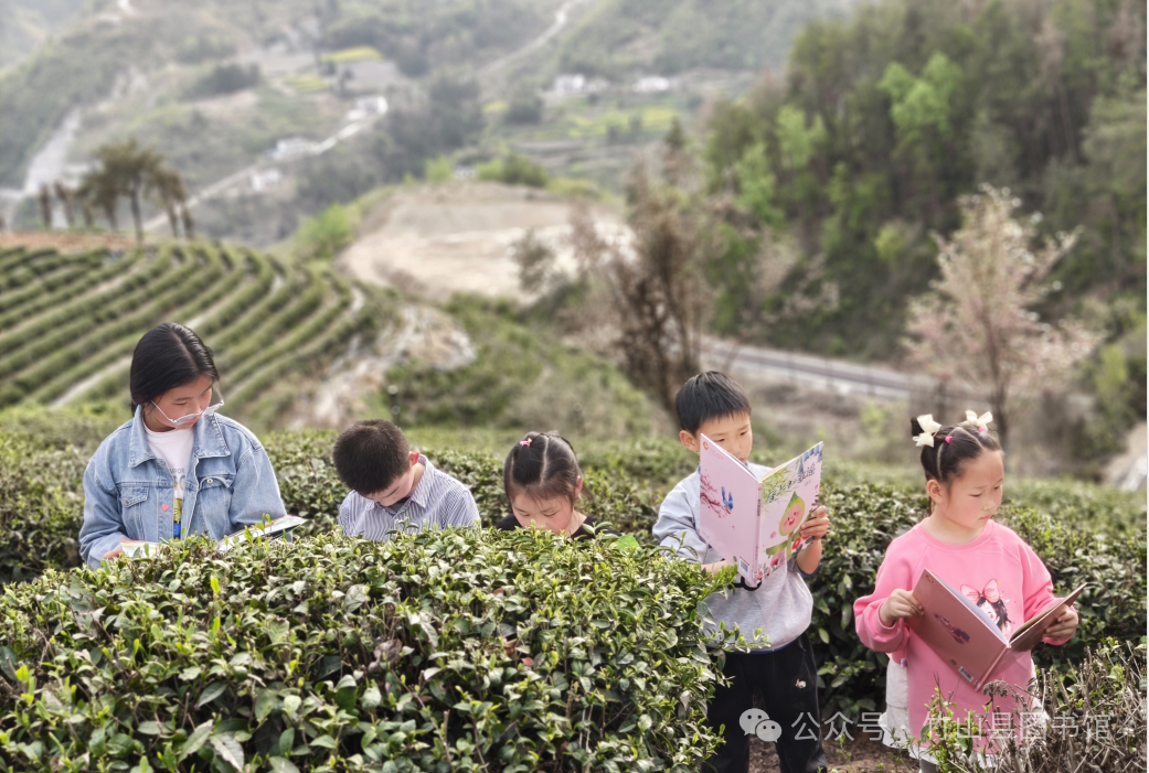 竹山县举办 “春暖花开季・书香润茶山” 亲子阅读活动
