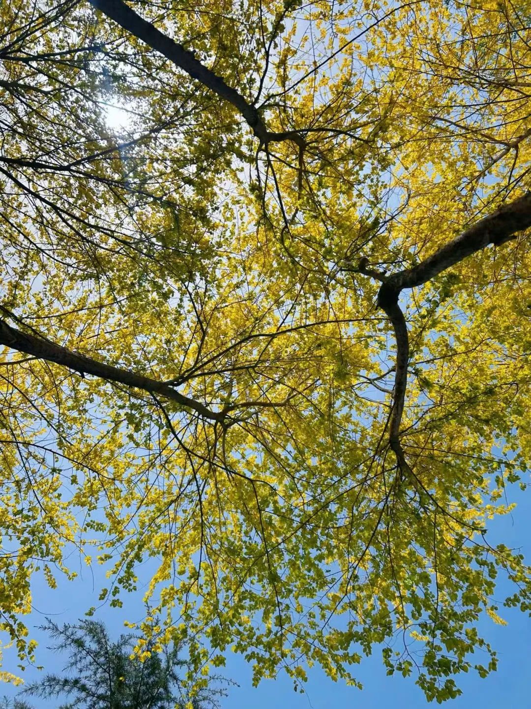 94年，31岁：一个属于普通自由职业者的春天，就这样到来了