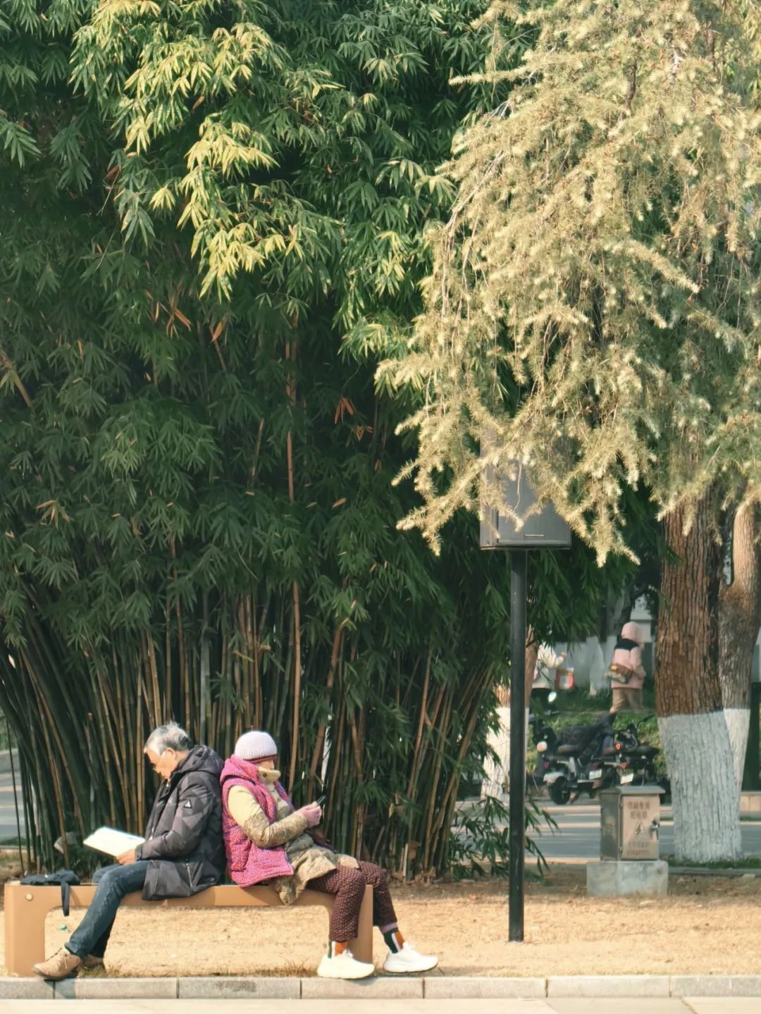 10 本好书推荐 + 读书节惊喜活动，让阅读成为汉江师范学院的春日暖阳～