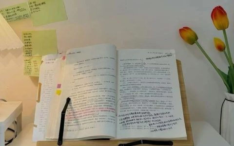 如何吃透一本书？请一定要用烂这个读书笔记sop（建议实操100遍）