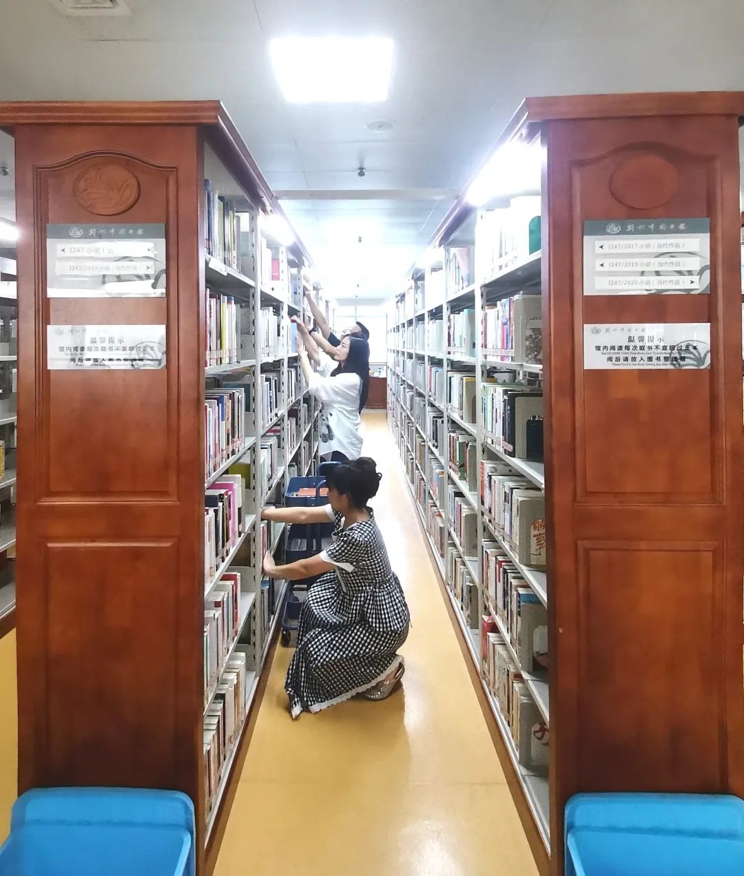 坚守服务初心 彰显责任担当：荆州市图书馆张玲君同志以务实作风提升服务质效