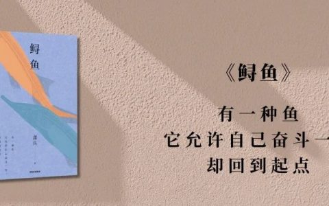 凌晨看完《鲟鱼》，让我久久不能平静