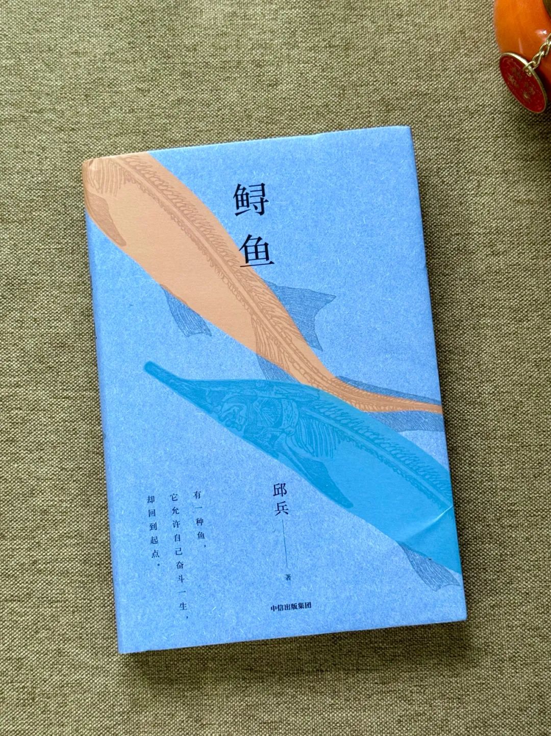 凌晨看完《鲟鱼》，让我久久不能平静