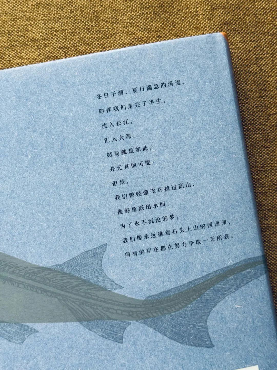 凌晨看完《鲟鱼》，让我久久不能平静