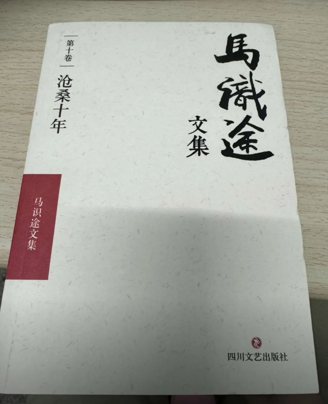 沧桑十年,说点真话(罕见回忆录)