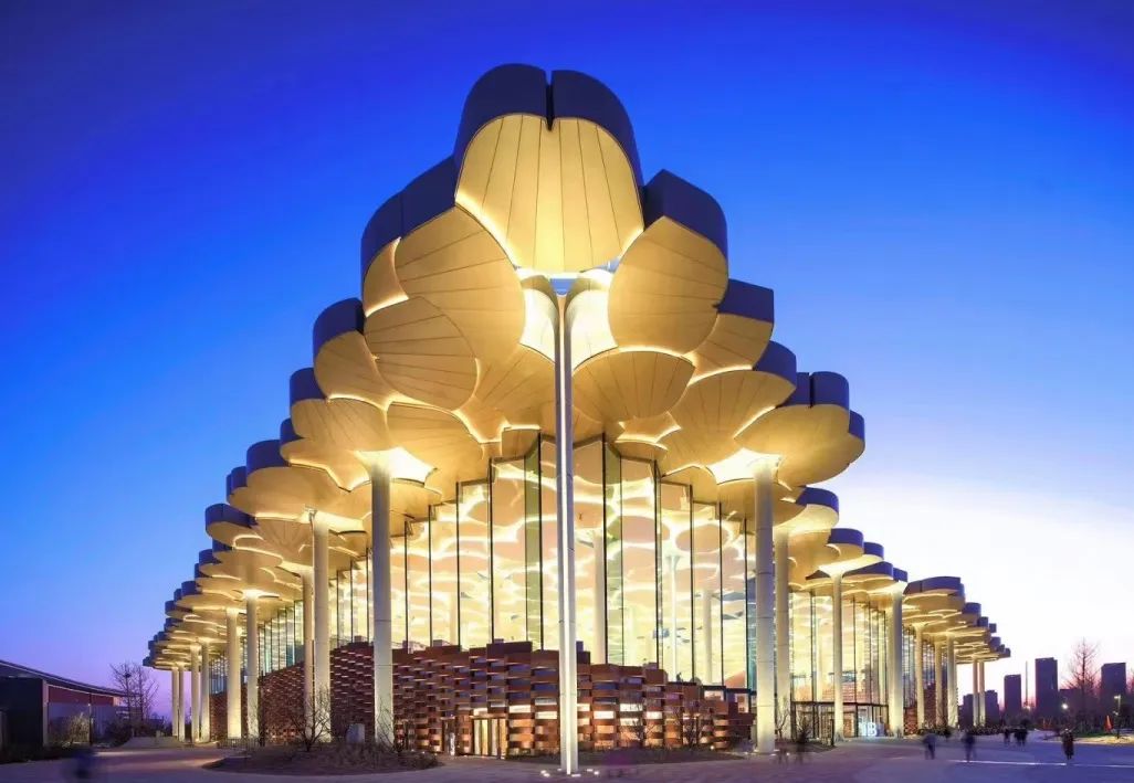 当我们谈论图书馆的美，我们在谈论什么