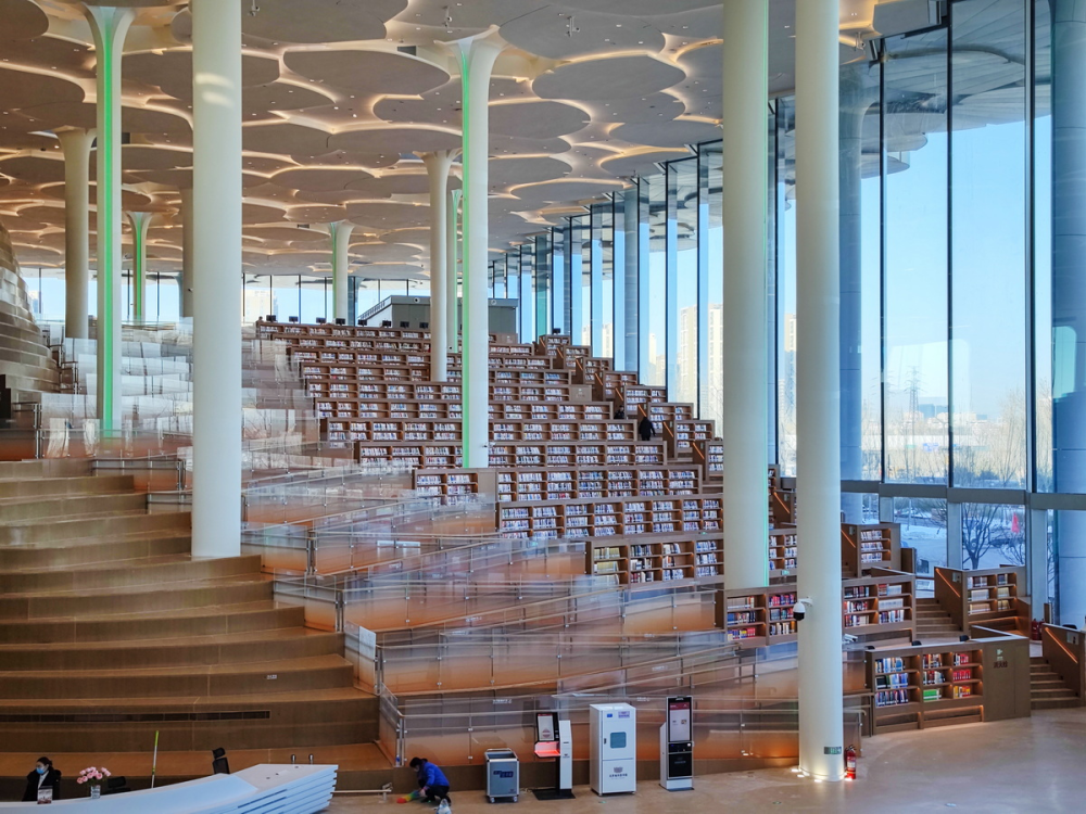 当我们谈论图书馆的美，我们在谈论什么