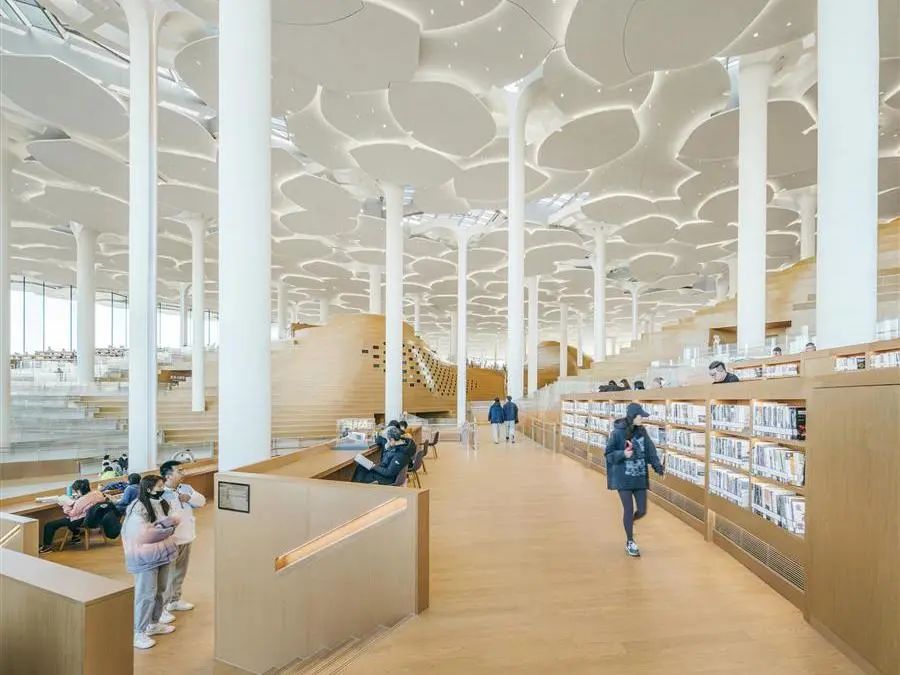 当我们谈论图书馆的美，我们在谈论什么