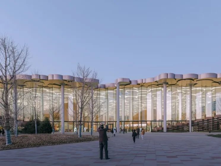 当我们谈论图书馆的美，我们在谈论什么