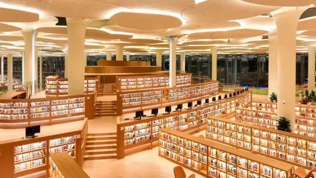 当我们谈论图书馆的美，我们在谈论什么