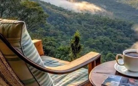 迷茫？焦虑？让你的精神按摩一下吧，推荐这三本书