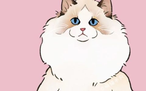 热门豆瓣历史小说TOP3，本本都想很看