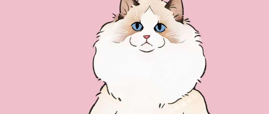 热门豆瓣历史小说TOP3，本本都想很看