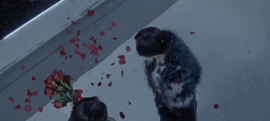 10年了,郭敬明圈的钱,还没花完