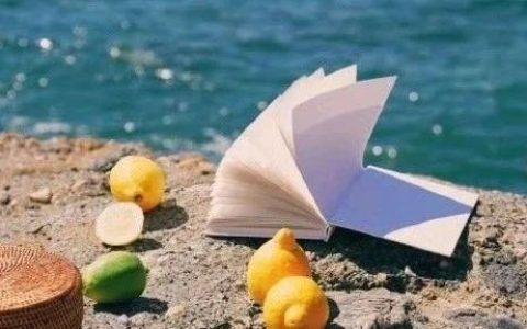 看到这篇文章，我又要调整公众号写作策略了