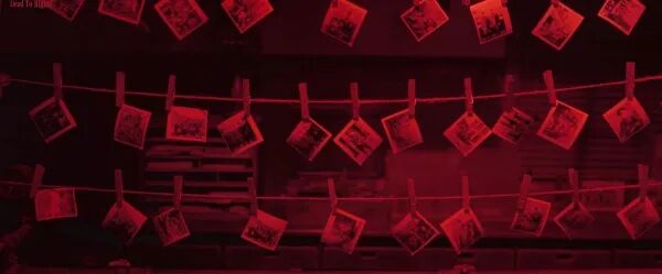 从张纯如到《南京照相馆》：记忆、遗忘与回响