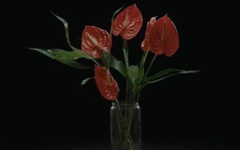 《植物的欲望》原来，人真的是一根会思考的芦苇