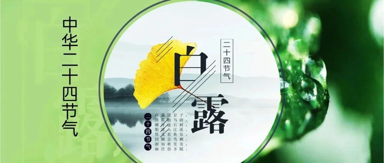 【赤心不改·童趣无限】赤壁市图书馆活动预告 ：二十四节气之白露+手工制作