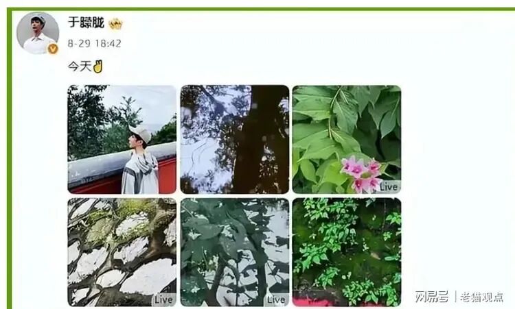 基本证实著名演员于朦胧自杀，现场画面泄露，最后露面照曝光