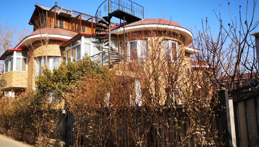 那个闪婚41天逼丈夫跳楼、骗婚1000多万的北京女硕士，终于被判了！