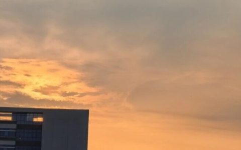 产教融合“融”什么