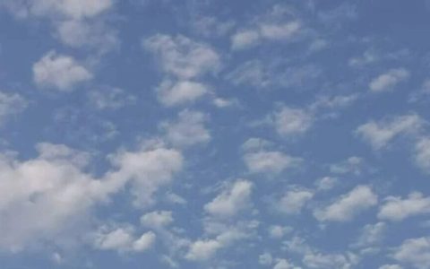 推书网年度书单分享：近1年选出的10本好看的书