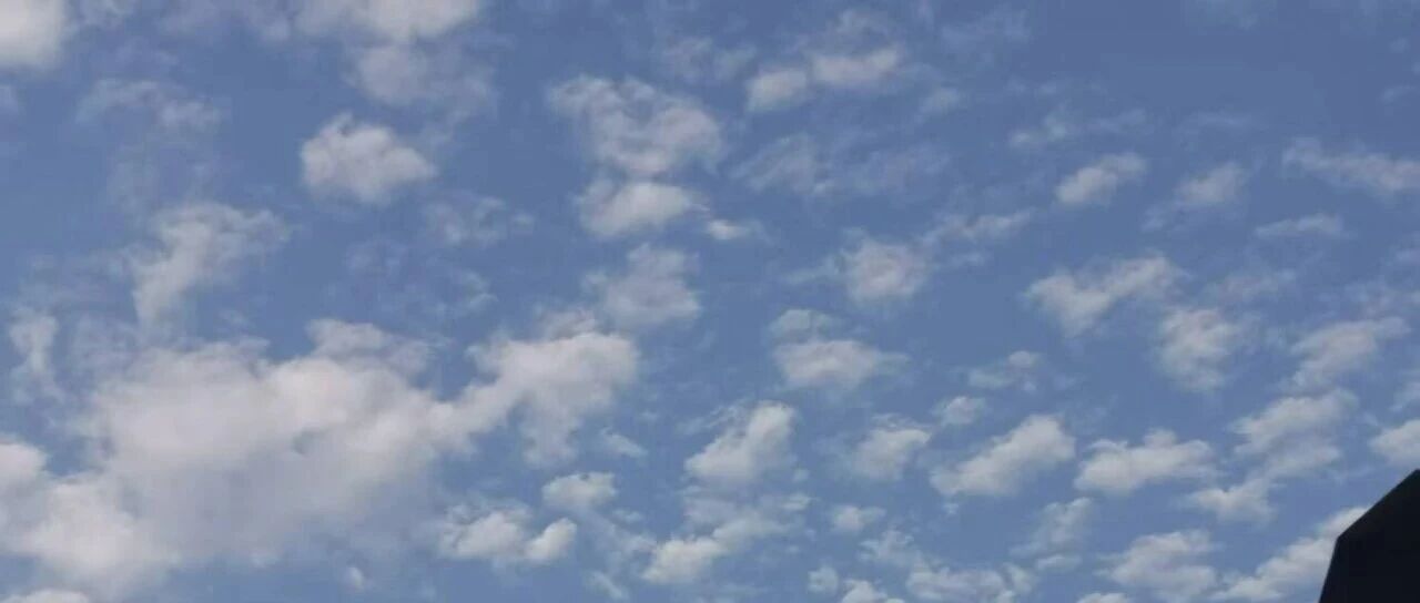 推书网年度书单分享：近1年选出的10本好看的书