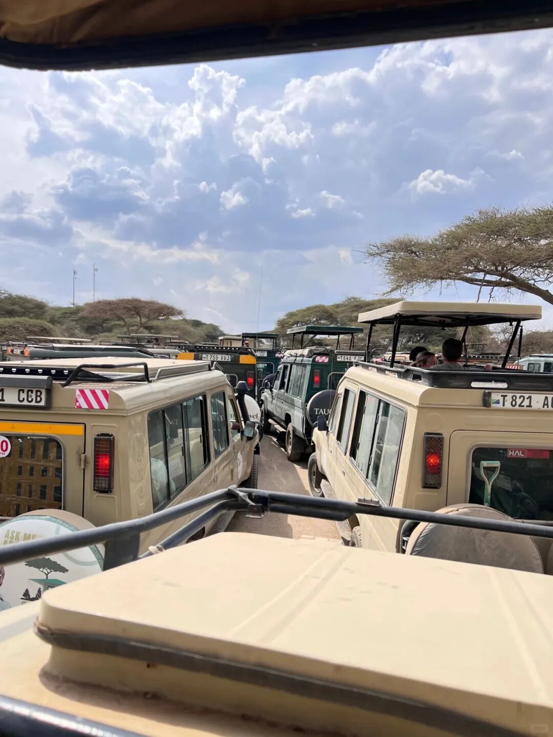 中国网友偶遇“失联”诺奖得主,评论区笑疯:真的是全球街溜子