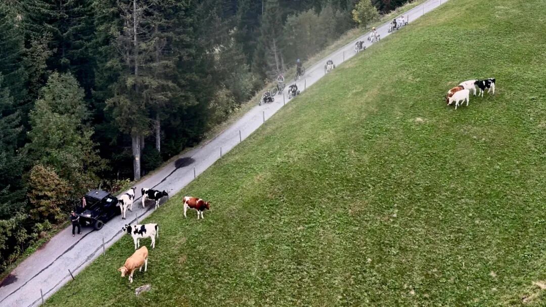 中国网友偶遇“失联”诺奖得主,评论区笑疯:真的是全球街溜子