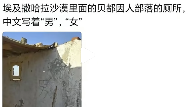 中国网友偶遇“失联”诺奖得主,评论区笑疯:真的是全球街溜子