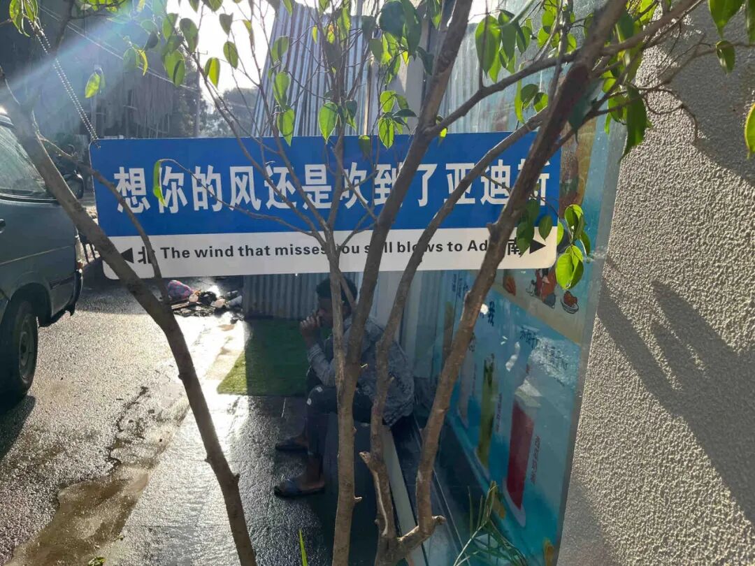 中国网友偶遇“失联”诺奖得主,评论区笑疯:真的是全球街溜子