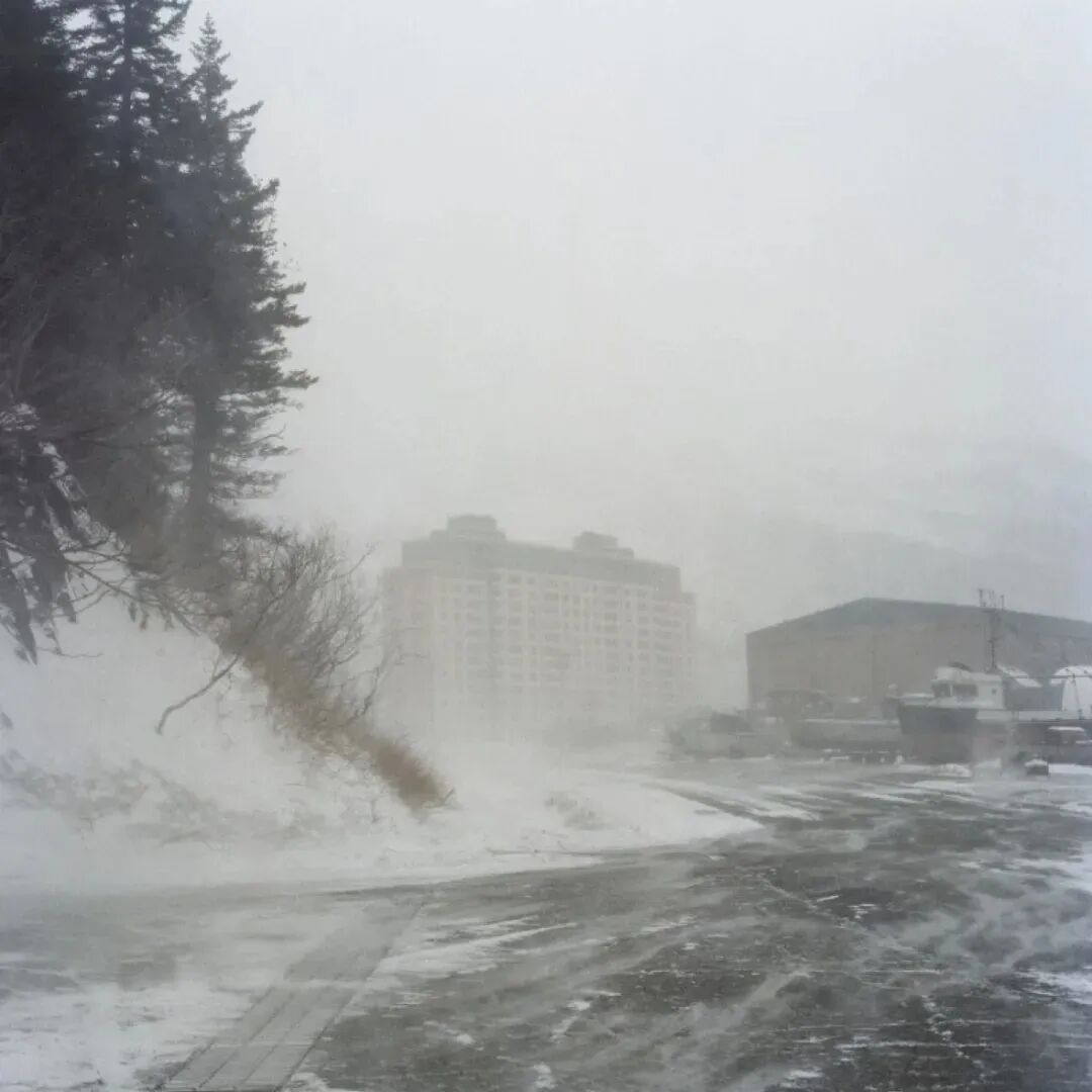 中国网友偶遇“失联”诺奖得主,评论区笑疯:真的是全球街溜子