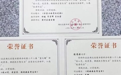 黄州区图书馆在第二十二届“童之趣”全省征文大赛中再创佳绩