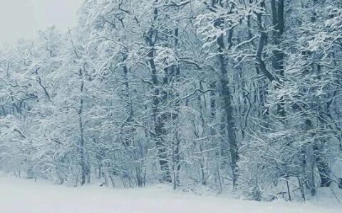 丹江口市图书馆暖心书咖：在冬日，与文字相互取暖