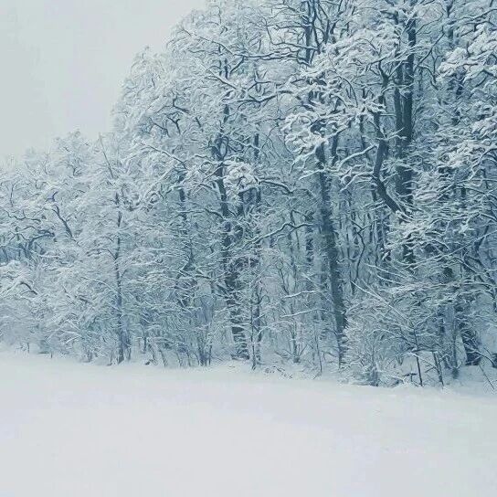 丹江口市图书馆暖心书咖：在冬日，与文字相互取暖