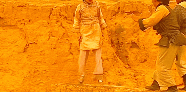 50岁佘诗曼私生活曝光：未婚独居没娃，一顿晚饭1288