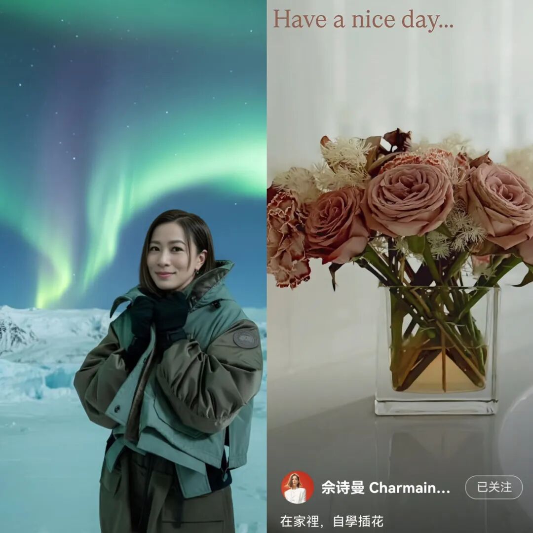 50岁佘诗曼私生活曝光：未婚独居没娃，一顿晚饭1288