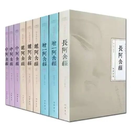 马伯庸：沉静与蓄积—我的2025年书单