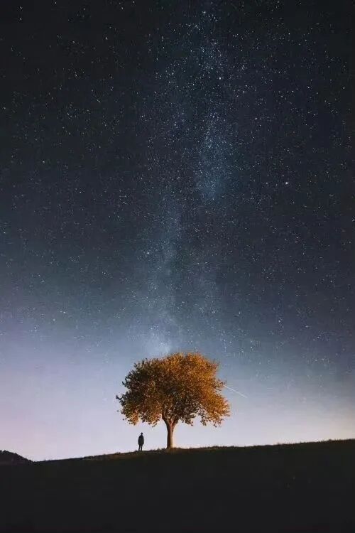 2小时能读完却影响一生的5本书