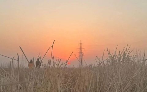 11月精神食粮：3本书，4部电影，5期播客！