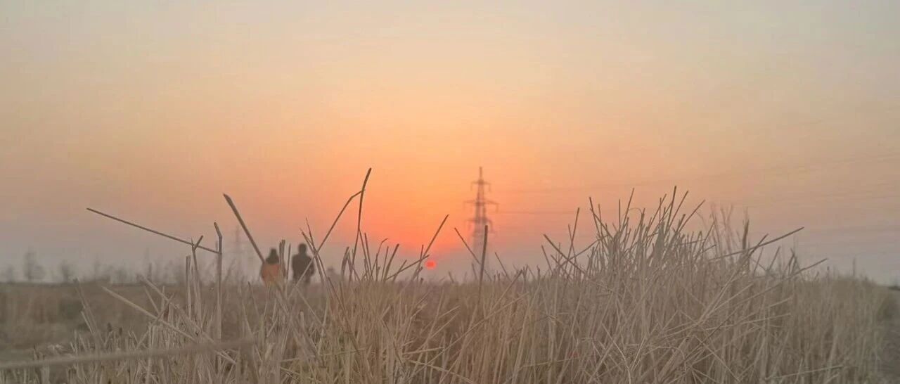 11月精神食粮：3本书，4部电影，5期播客！