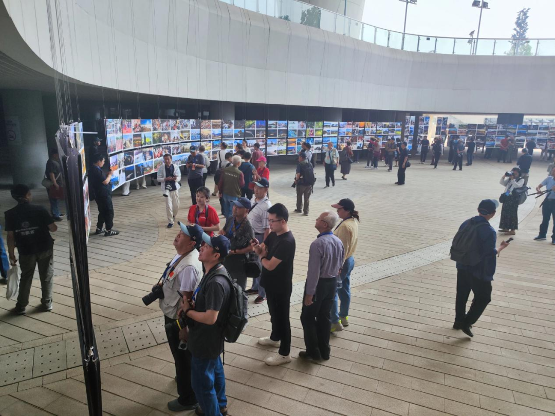 2025，探索阅读的千万种可能——襄阳市图书馆2025年度回顾