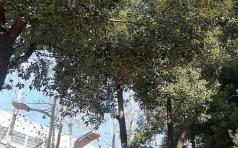 2025 年湖北省教育科学规划课题立项分析