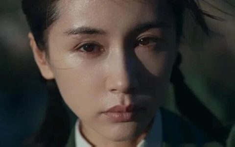 《最好的告别》我会向所有人推荐这本书，这才是真正的“人生必读”，读完只有震撼和流泪