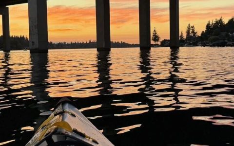 琥珀大王：2025我的最佳十本书