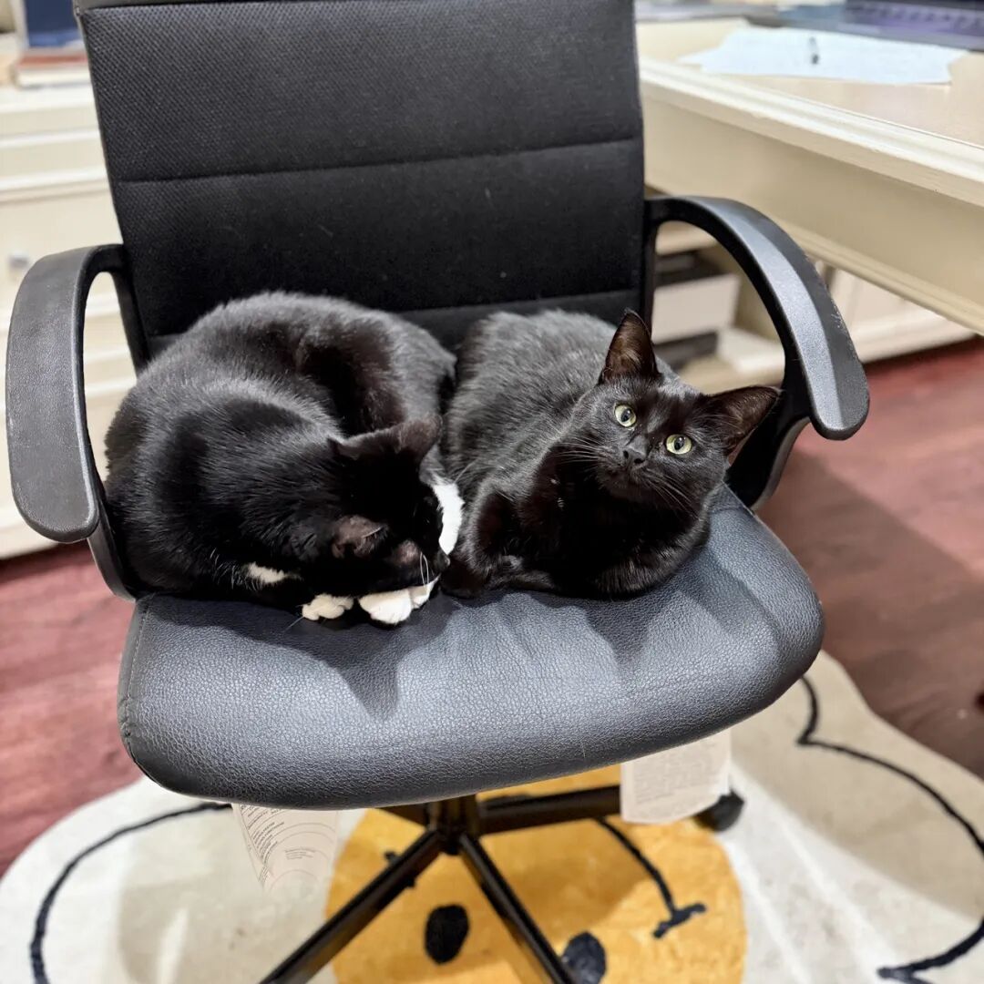 琥珀大王：2025我的最佳十本书