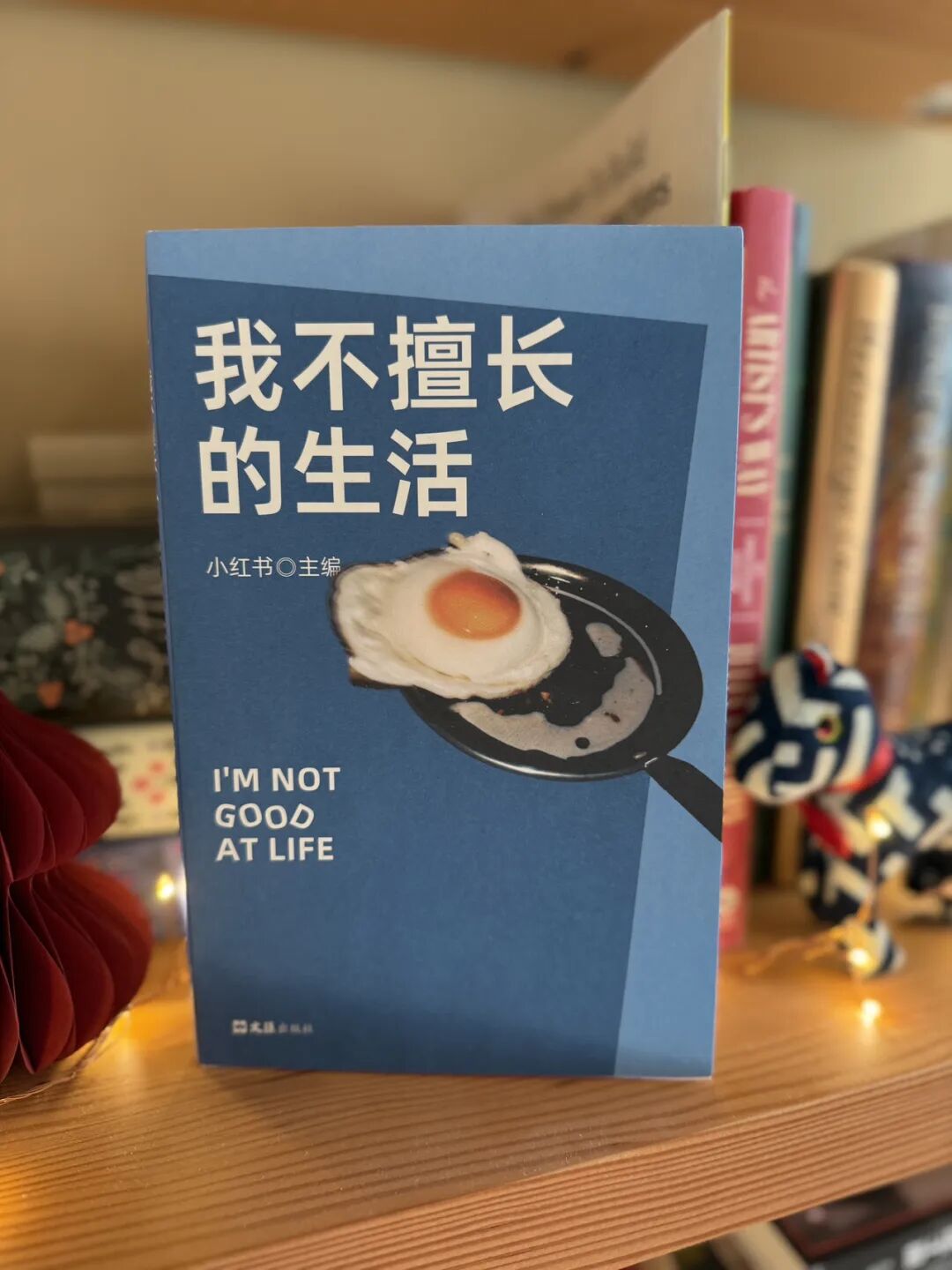 琥珀大王:2025我的最佳十本书