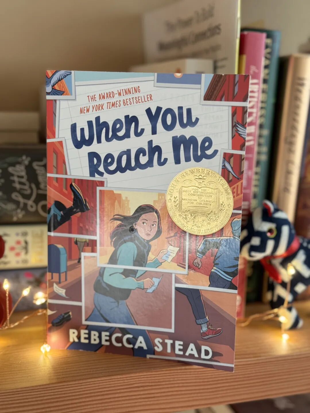 琥珀大王:2025我的最佳十本书