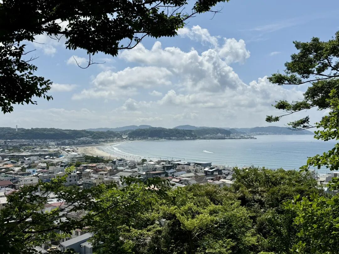 琥珀大王:2025我的最佳十本书