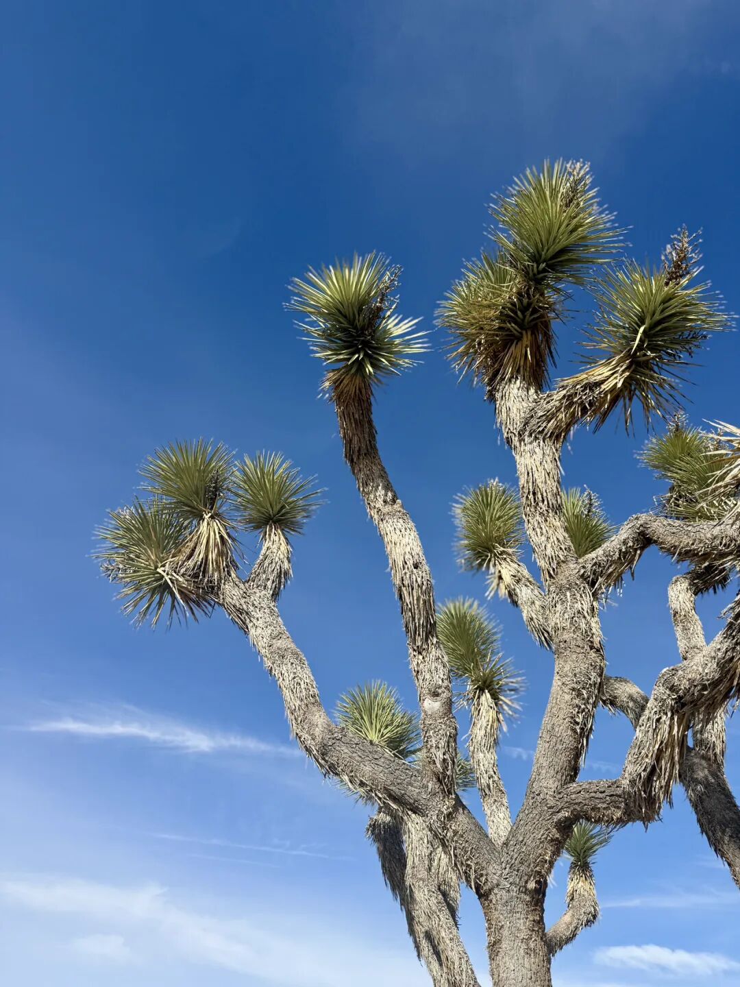 琥珀大王:2025我的最佳十本书